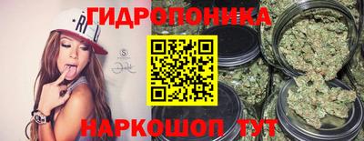 амф Будённовск