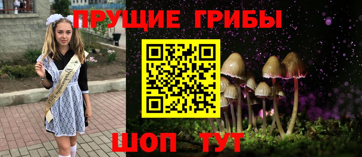Галлюциногенные грибы Psilocybine cubensis  Вход с VPN  Псилоцибиновые грибы Cubensis  Прокопьевск 
